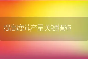 提高鹿茸产量关键措施