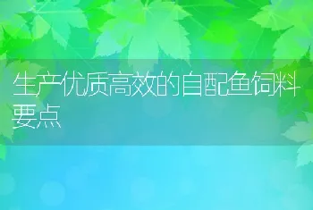 生产优质高效的自配鱼饲料要点