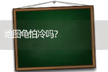 为什么说雪纳瑞是一个人的小狗？