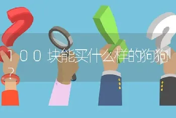 100块能买什么样的狗狗？