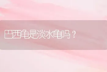 巴西龟是淡水龟吗？