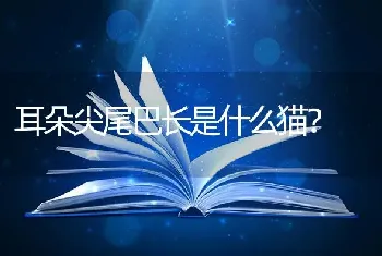 什么小型犬便宜，可爱，易养，干净，短毛，性格老实？