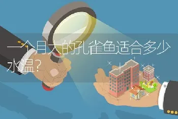 一个月大的孔雀鱼适合多少水温？