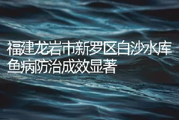 福建龙岩市新罗区白沙水库鱼病防治成效显著