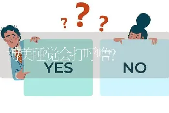 博美睡觉会打呼噜？