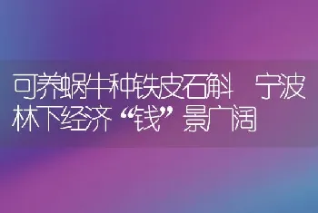 可养蜗牛种铁皮石斛 宁波林下经济“钱”景广阔