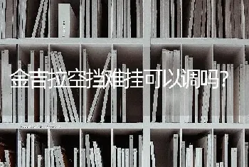 金吉拉空挡难挂可以调吗？