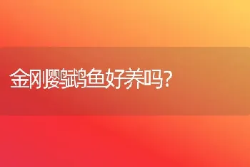 雪纳瑞成长期间的标准体重如何算？