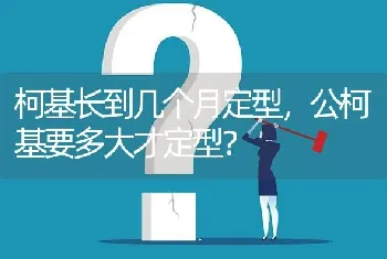 柯基长到几个月定型，公柯基要多大才定型？