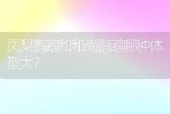 凤梨鹦鹉和和尚鹦鹉哪种体型大？