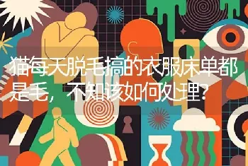 布偶重点跟海双配会出什么？