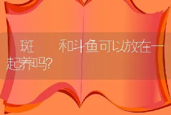 紅斑馬魚和斗鱼可以放在一起养吗？