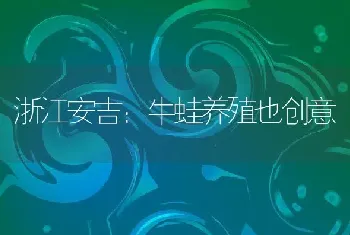 浙江安吉：牛蛙养殖也创意