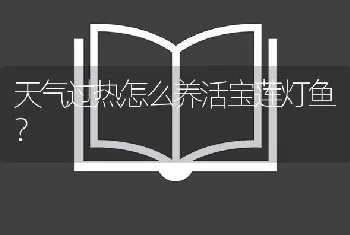 天气过热怎么养活宝莲灯鱼？