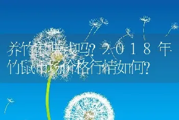 养竹鼠赚钱吗？2018年竹鼠市场价格行情如何？