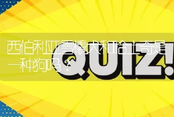 西伯利亚雪橇犬和哈士奇是一种狗吗？