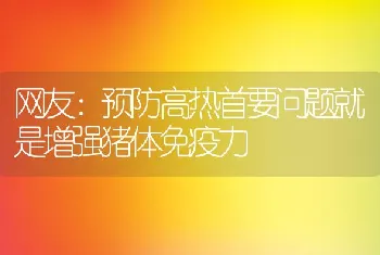 网友：预防高热首要问题就是增强猪体免疫力