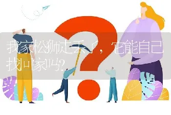 我家松狮走丢了，它能自己找回家吗？