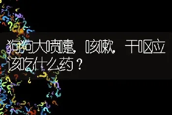 狗狗大喷嚏，咳嗽，干呕应该吃什么药？