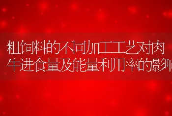 粗饲料的不同加工工艺对肉牛进食量及能量利用率的影响