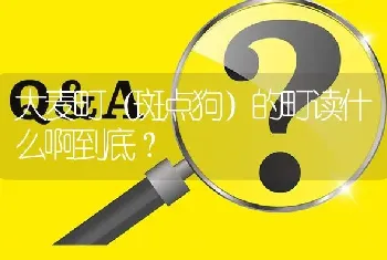 大麦町（斑点狗）的町读什么啊到底？