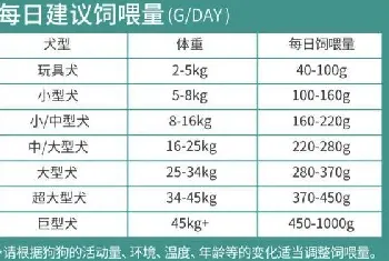 柯基喂食标准表，三岁柯基犬一天喂几次？