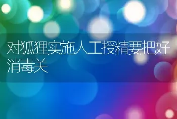 对狐狸实施人工授精要把好消毒关