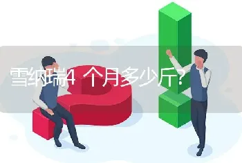 雪纳瑞4个月多少斤？