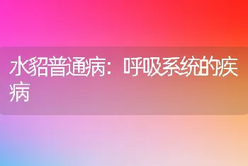 网箱鳝鱼养殖技术要点