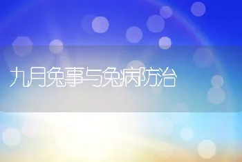 九月兔事与兔病防治