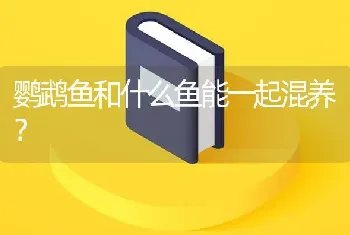 鹦鹉鱼和什么鱼能一起混养？