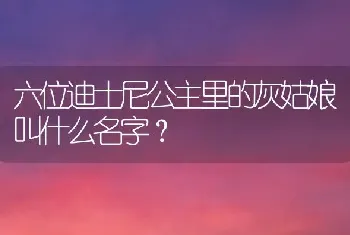 六位迪士尼公主里的灰姑娘叫什么名字？