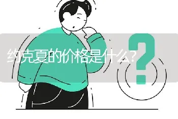 约克夏的价格是什么？