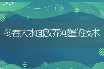 冬春大水面放养河蟹的技术