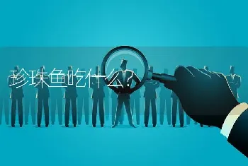 珍珠鱼吃什么？