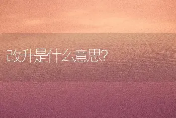 改升是什么意思？