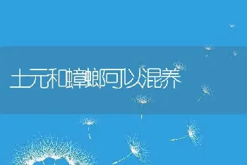 土元和蟑螂可以混养