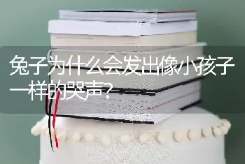 兔子为什么会发出像小孩子一样的哭声？