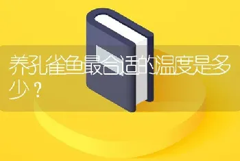 养孔雀鱼最合适的温度是多少？