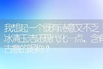 我想起一个既有诗意又不乏冰清玉洁还现代化一点、含有古意的昵称？