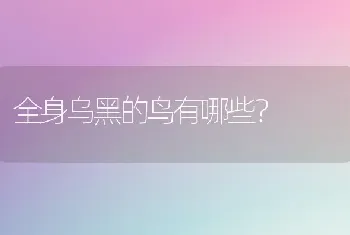 全身乌黑的鸟有哪些？