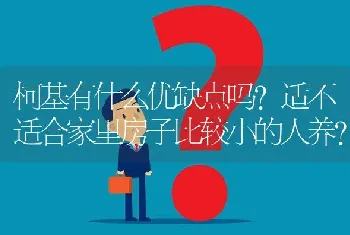 柯基有什么优缺点吗？适不适合家里房子比较小的人养？