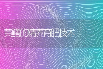 黄鳝的精养育肥技术