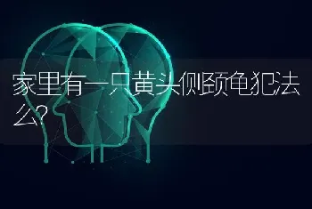 家里有一只黄头侧颈龟犯法么？