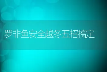 罗非鱼安全越冬五招搞定