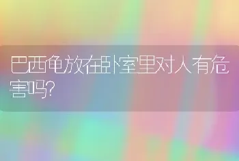 巴西龟放在卧室里对人有危害吗？