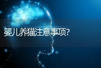 婴儿养猫注意事项？