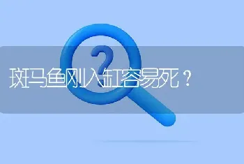 斑马鱼刚入缸容易死？