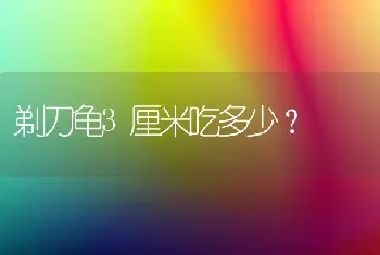 剃刀龟3厘米吃多少？