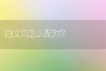 德牧的记忆力怎么样，时间见不到主人还认主吗？